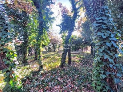 Eladó lakóövezeti telek Diósd