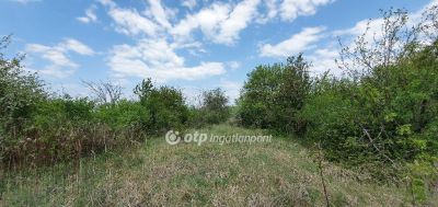Eladó nyaraló Siófok