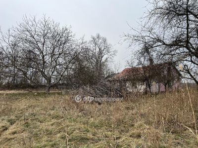 Eladó tanya Nagykőrös