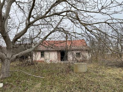 Eladó tanya Nagykőrös