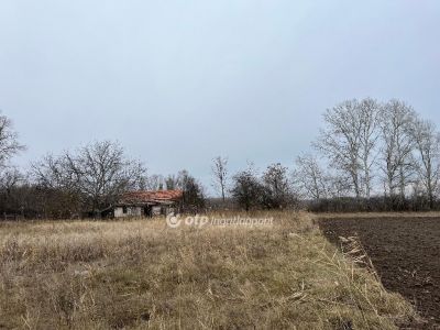 Eladó tanya Nagykőrös
