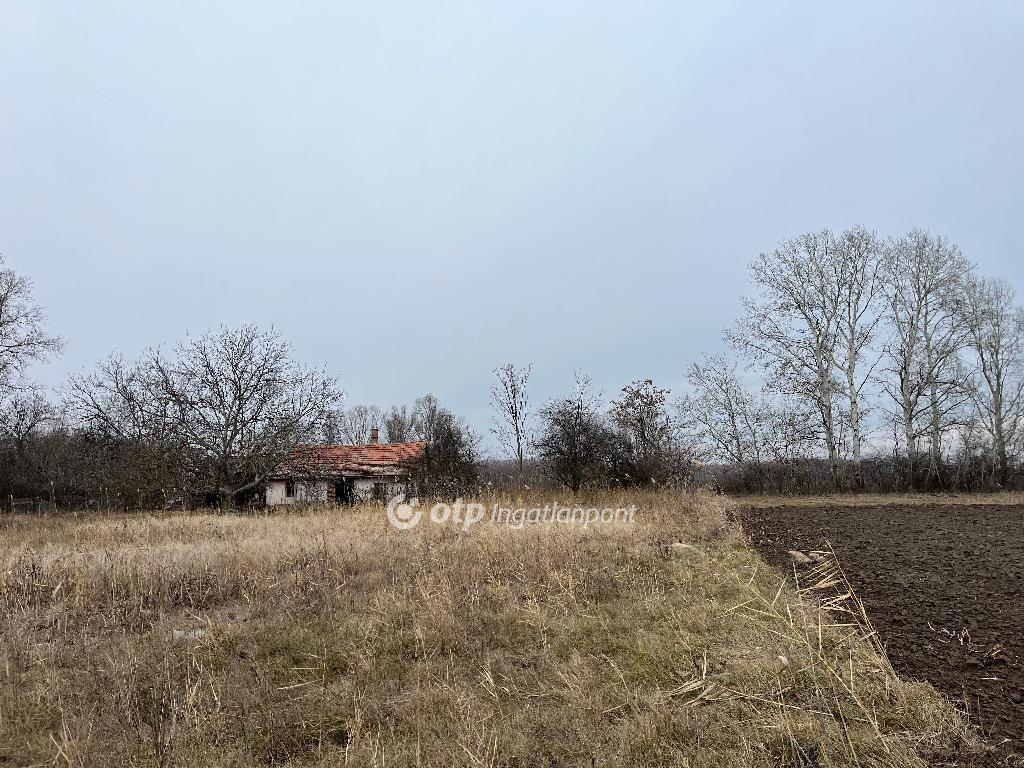 Eladó tanya Nagykőrös