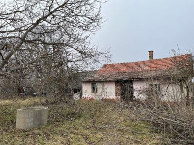 Eladó tanya Nagykőrös