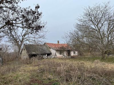 Eladó tanya Nagykőrös