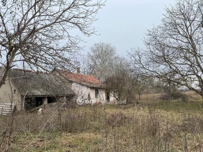 Eladó tanya Nagykőrös