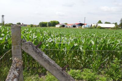 Eladó egyéb ipari ingatlan Hajdúsámson