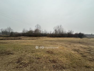 Eladó lakóövezeti telek Nyírábrány