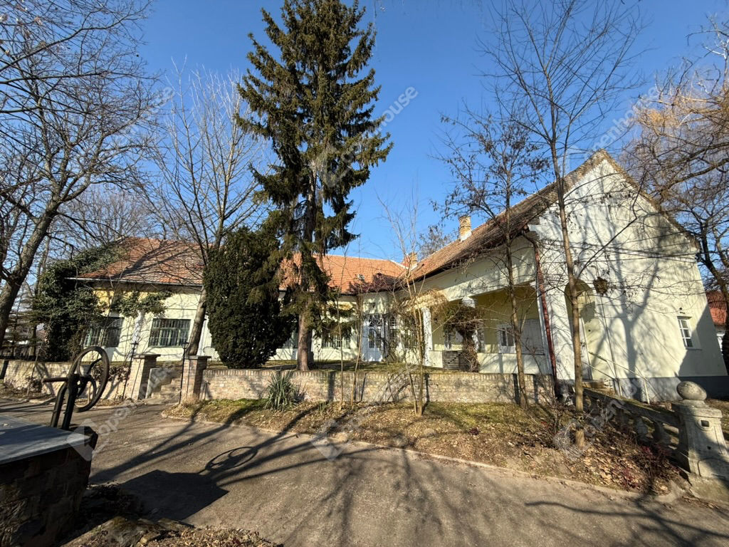 Eladó kastély Albertirsa