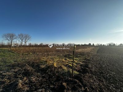 Eladó külterületi telek Balatonvilágos