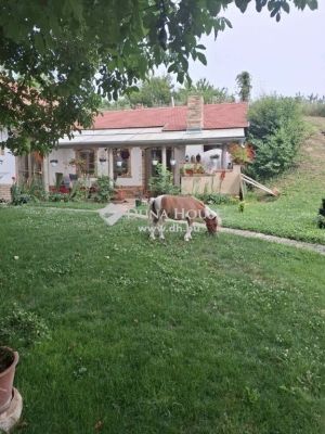 Eladó családi ház Egerág