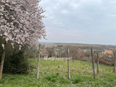 Eladó külterületi telek Szekszárd