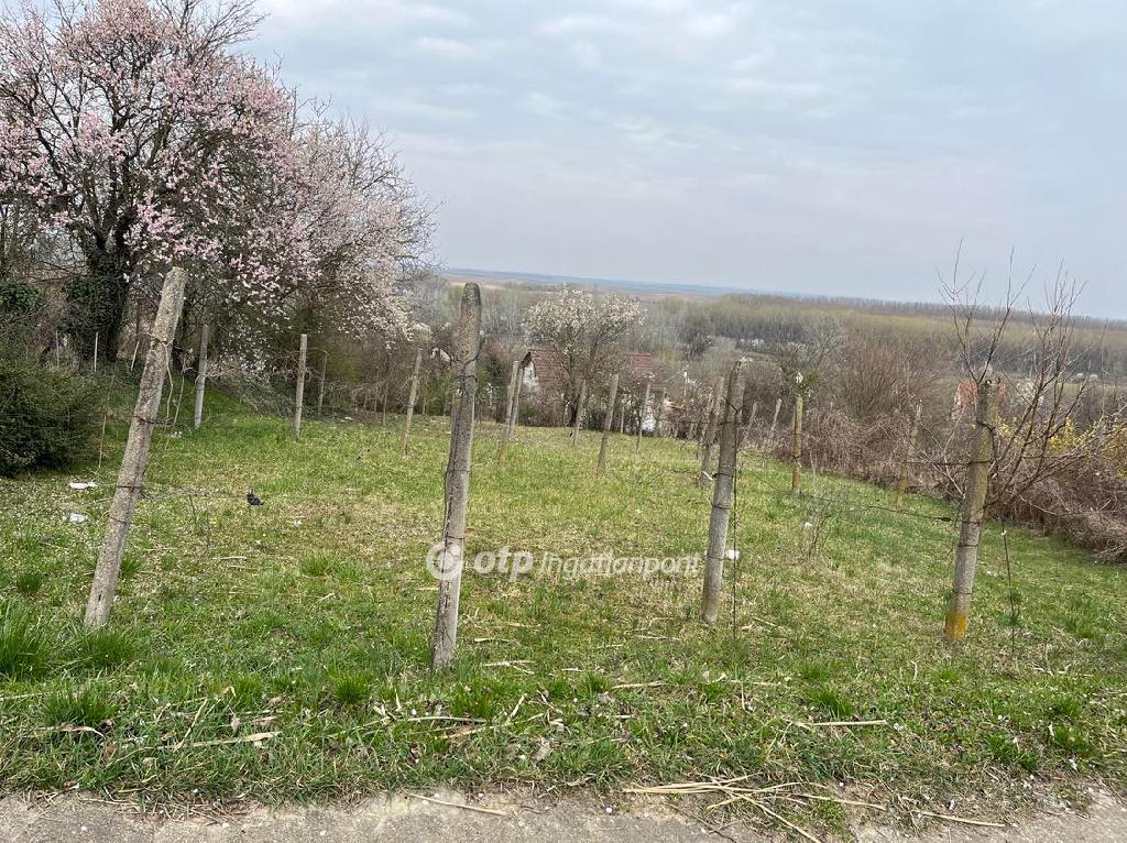 Eladó külterületi telek Szekszárd
