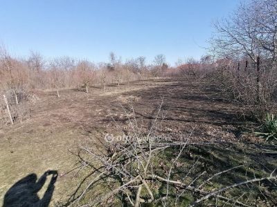 Eladó családi ház Debrecen