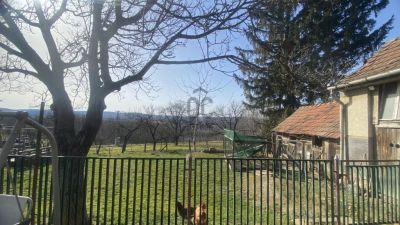 Eladó családi ház Zalaegerszeg