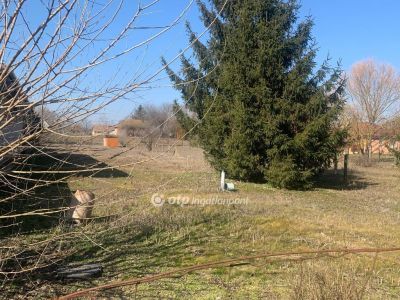 Eladó lakóövezeti telek Nyíregyháza