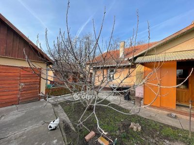 Eladó családi ház Csanytelek