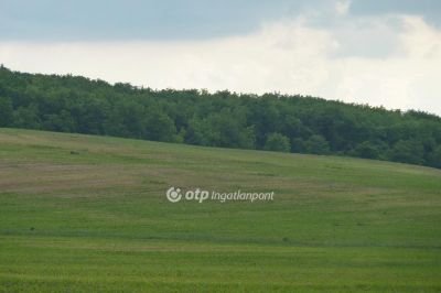 Eladó lakóövezeti telek Isaszeg