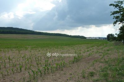 Eladó lakóövezeti telek Isaszeg
