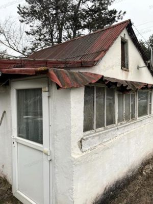Eladó tanya Ballószög