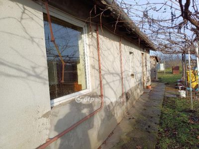 Eladó családi ház Csanytelek