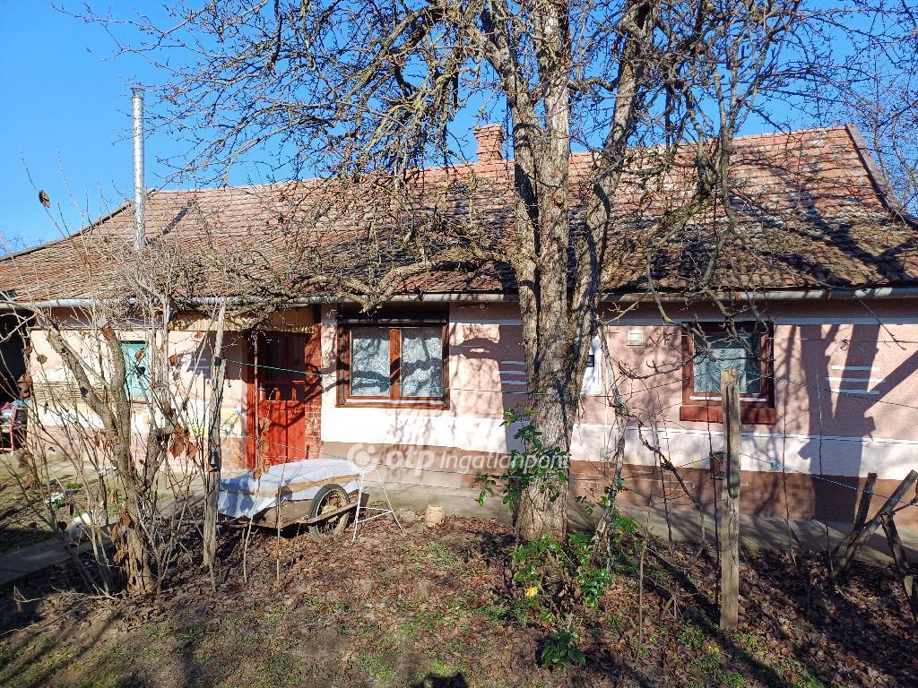 Eladó családi ház Csanytelek