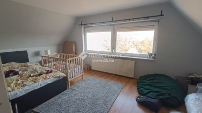 Eladó családi ház Szentmártonkáta