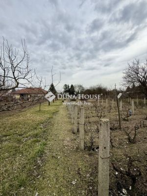 Eladó családi ház Szigetújfalu