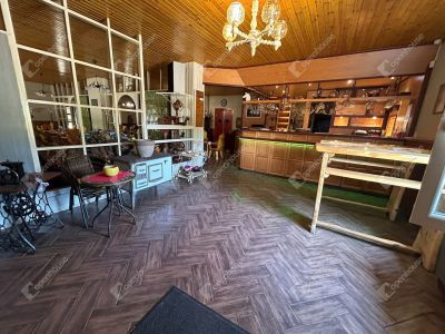 Eladó kereskedelmi és szolgáltató terület Monor Monorierdő
