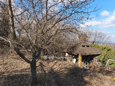 Eladó lakóövezeti telek Budapest