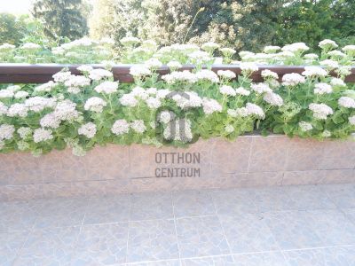 Eladó sorház Zalaegerszeg