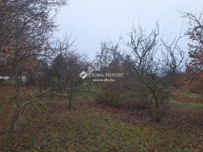 Eladó pince, présház Monor