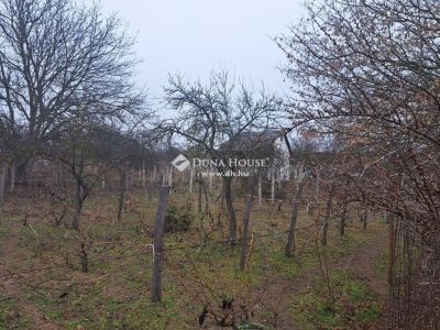 Eladó pince, présház Monor