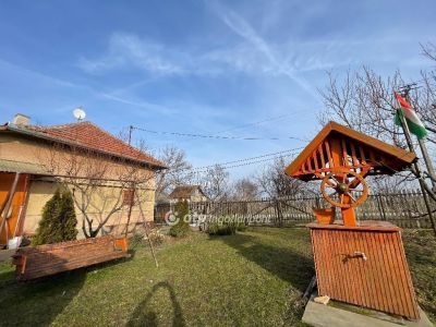 Eladó családi ház Csanytelek