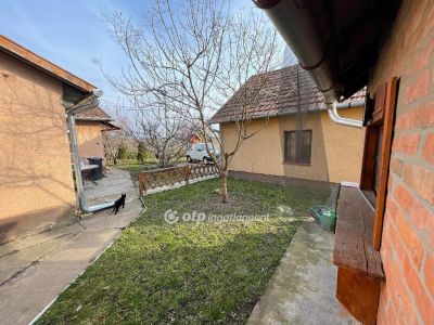 Eladó családi ház Csanytelek