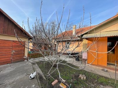 Eladó családi ház Csanytelek