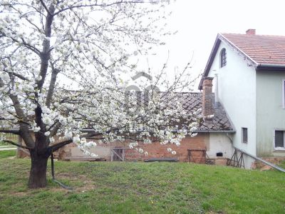 Eladó családi ház Zalaegerszeg