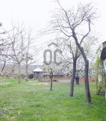 Eladó családi ház Zalaegerszeg