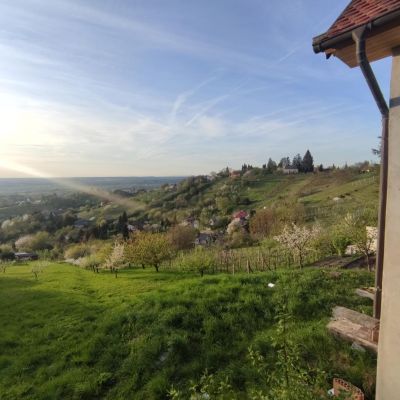 Eladó családi ház Zalaegerszeg