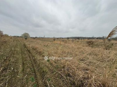 Eladó üdülőövezeti telek Kisköre