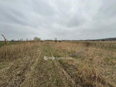 Eladó üdülőövezeti telek Kisköre