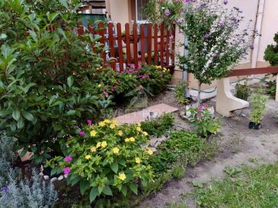 Eladó lakás Sopron