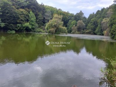 Eladó családi ház Bárdudvarnok