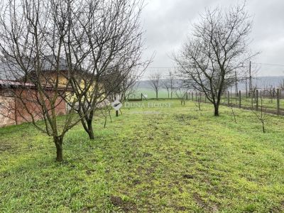 Eladó lakóövezeti telek Domony