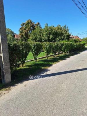 Eladó lakóövezeti telek Dömsöd