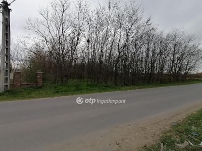Eladó lakóövezeti telek Hajdúsámson