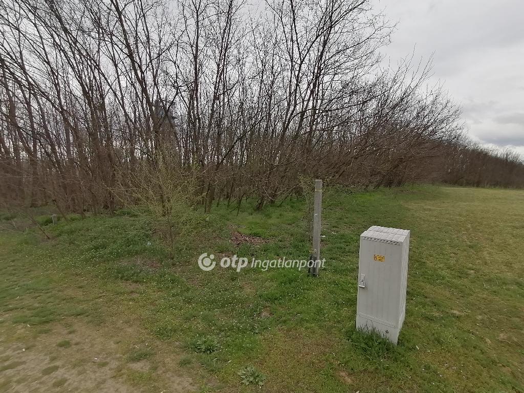 Eladó lakóövezeti telek Hajdúsámson