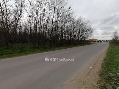 Eladó lakóövezeti telek Hajdúsámson