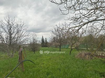 Eladó nyaraló Szentes