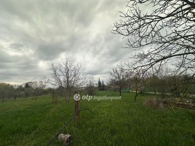 Eladó nyaraló Szentes