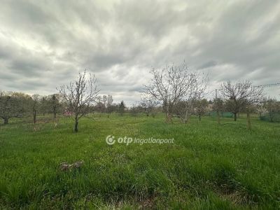 Eladó nyaraló Szentes